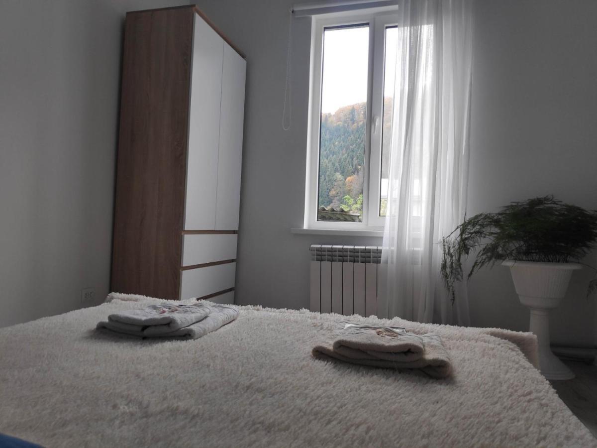 Чотири Стихії Villa Mizhhirya  Bagian luar foto